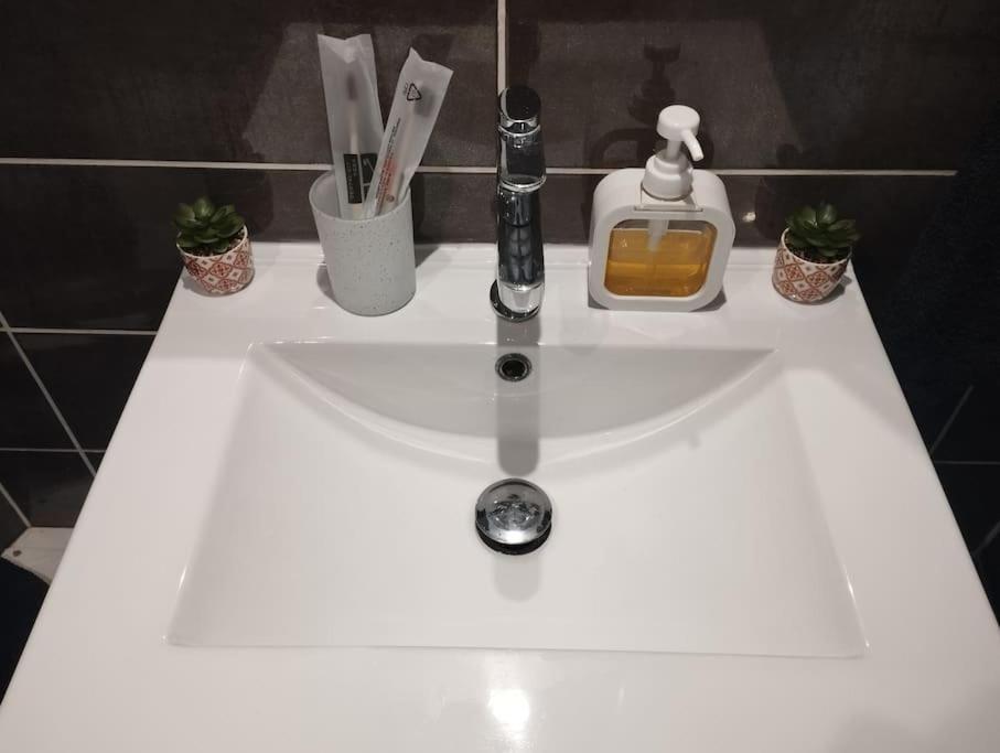 Appartement Coeur De Ville! Фуа Екстер'єр фото