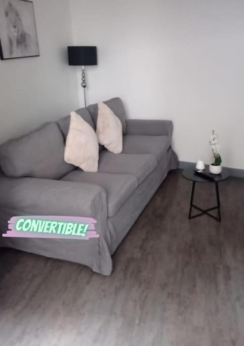 Appartement Coeur De Ville! Фуа Екстер'єр фото